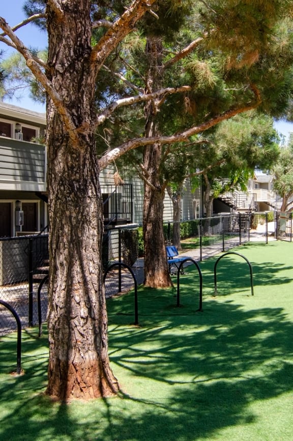 a fenced in dog park with trees and benches at Aspire High Desert Apartments, Victorville, CA