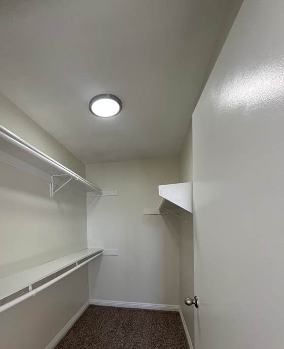 A room with a brown carpet and a white ceiling.