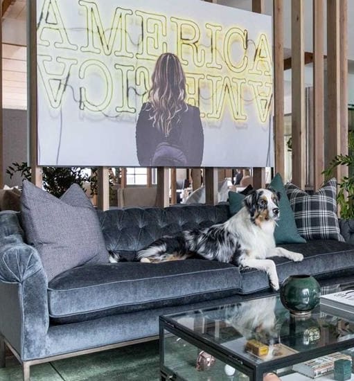 a dog sitting on a couch in a living room