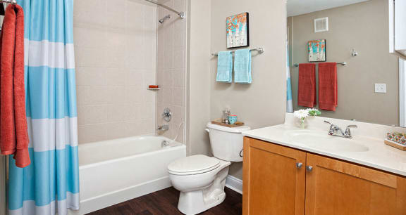 Bathroom at Smiths Landing Apartments in Blacksburg VA
