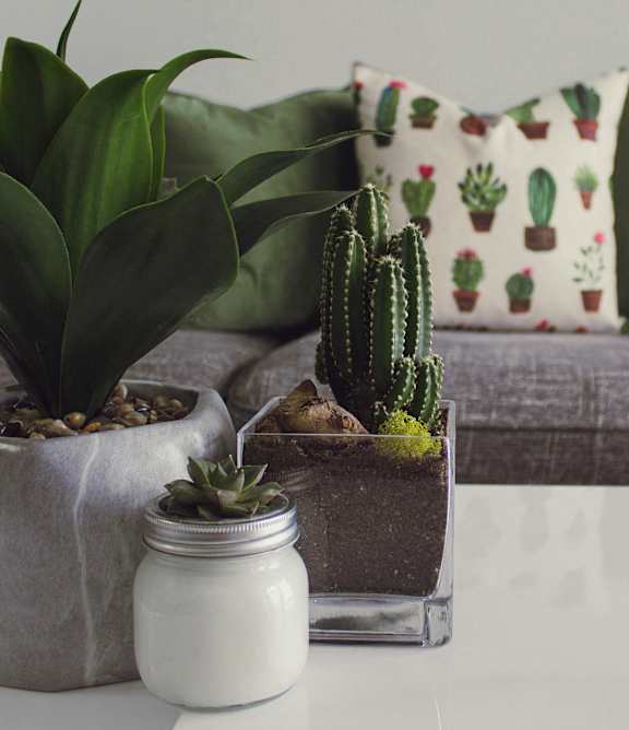 a living room with a couch and a window