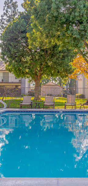 A swimming pool surrounded by trees and chairs.