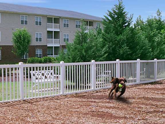 A dog is running in the play area of a residential complex.