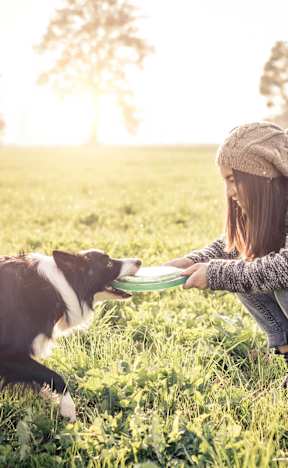 A woman is playing frisbee with a dog in a field.