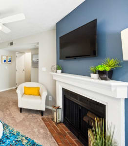 a living room with a fireplace and a tv