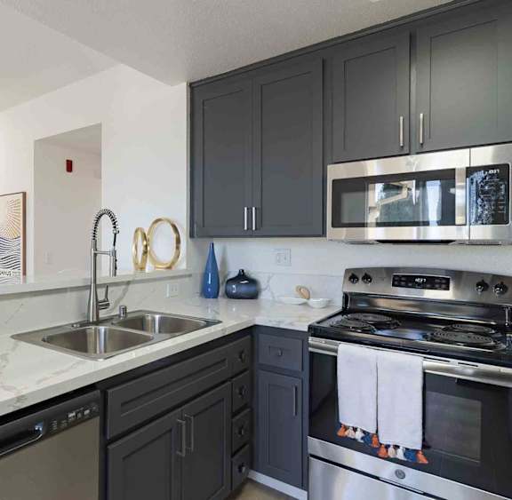 A modern kitchen with black cabinets and stainless steel appliances.