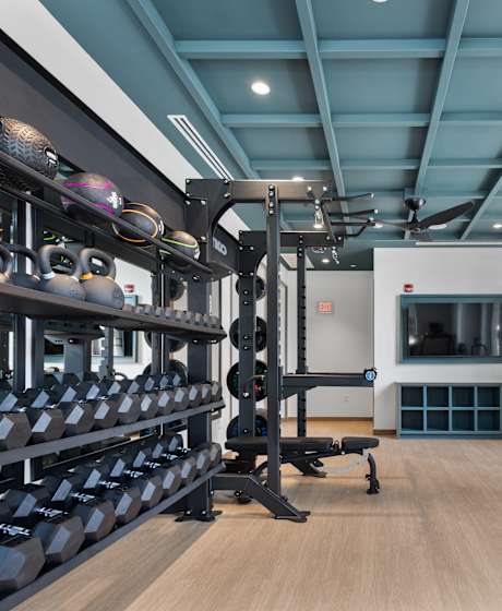 A gym with treadmills, weights, and mirrors.