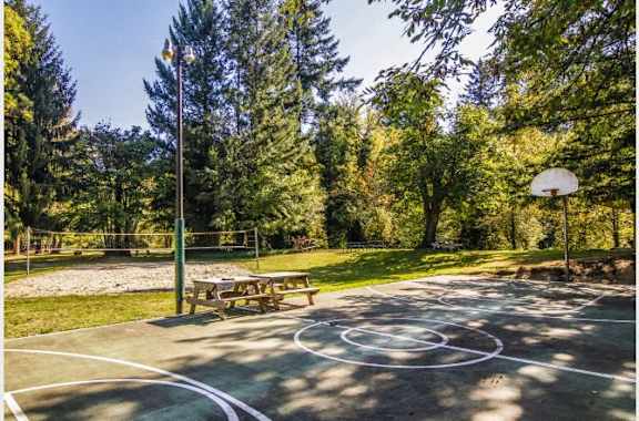 Play basketball, sand volleyball and more in our private park! at Commons at Avalon Park Apartments, Tigard, OR, 97224