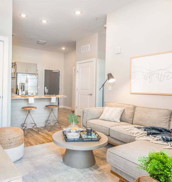 Classic Living Room Design With Television at The Baxly, Savannah