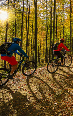 two people riding bikes on a trail in the woods