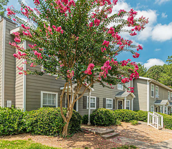 our apartments are located in a quiet neighborhood with trees and flowers
