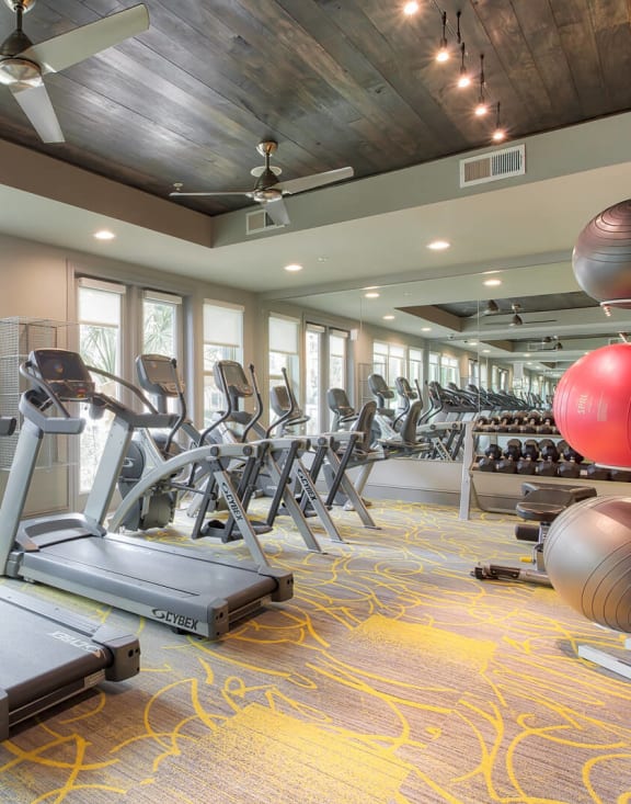 Cardio Equipment and Free Weights at Windsor West Lemmon, Dallas, Texas