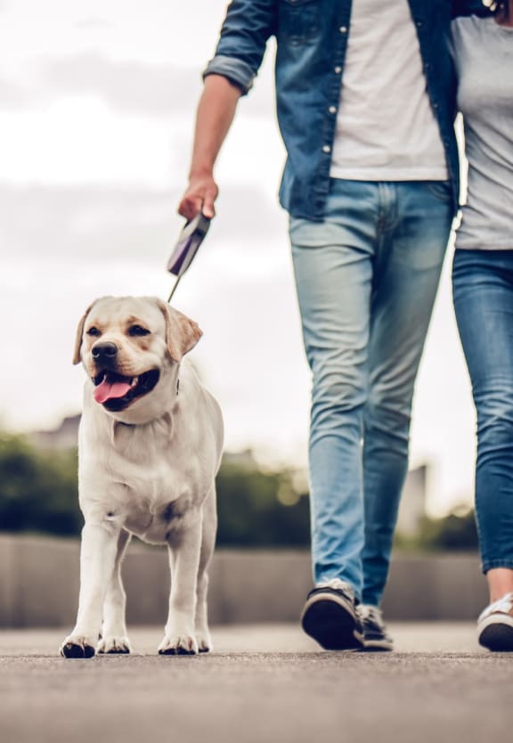 Couple Walking Dog  at Presidio at River East, Fort Worth, Texas