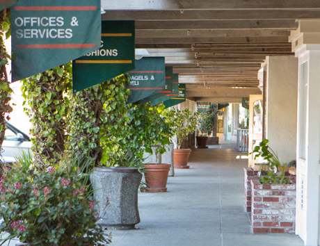 A long hallway with plants on either side and signs hanging from the ceiling.