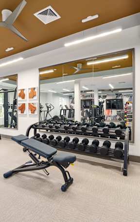 A gym with a variety of equipment including weights and a bench.