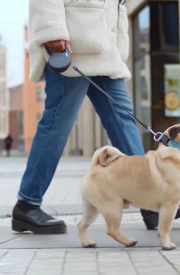 a man walking a dog on a leash
