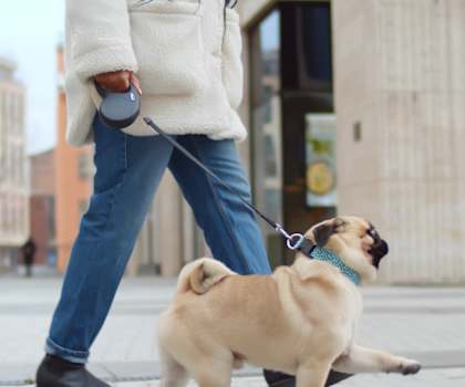 a man walking a dog on a leash at Metro Crossing Apartments, Owings Mills, Maryland