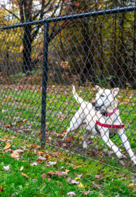 Pet Park at Woodland Pointe Apartments and Townhomes, Integrity Realty, Ohio