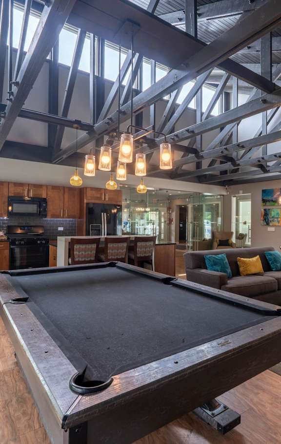 A living room with a grey couch and a patterned rug.