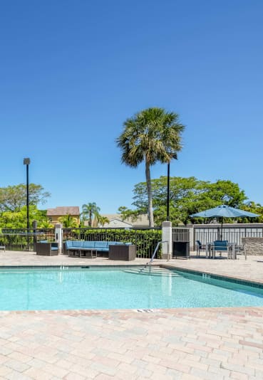 the swimming pool 