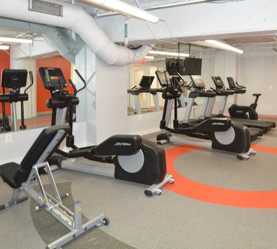 a gym with treadmills and elliptical machines