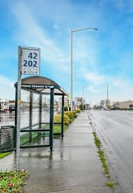 A bus stop with a sign that reads 42 202 is on the side of a wet street.