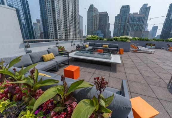 west 77 roof top