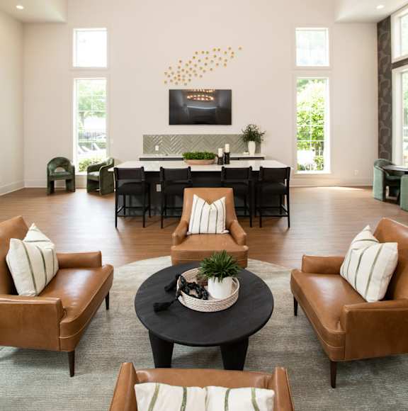 Luxury Lounge at Lakeside Villas Apartments, Georgia, 30228