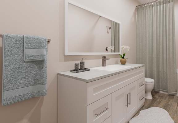 a bathroom with a sink and a toilet and a shower
