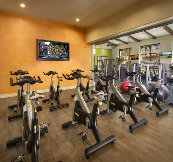 Cycling Studio at Villas at San Dorado, Oro Valley, Arizona