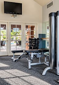 A home gym with a treadmill, weights, and exercise equipment.
