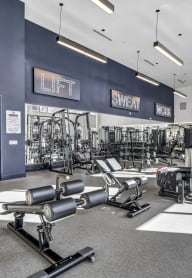 a gym with weights and cardio equipment at the signature on the avenue