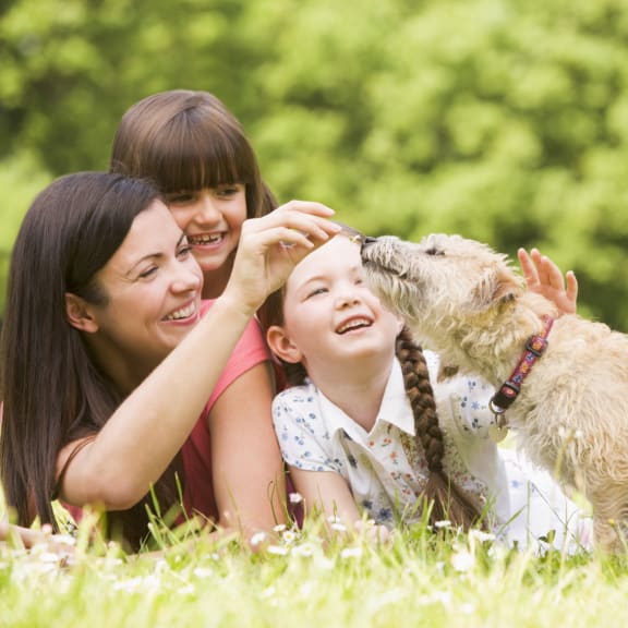 women with two sons laying on grass playing with their dog