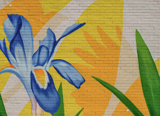 a mural of a flower on a brick wall