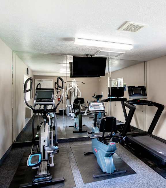 A gym with treadmills, exercise bikes, and other equipment.