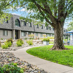 A tree in front of a building with a rock garden in the foreground.