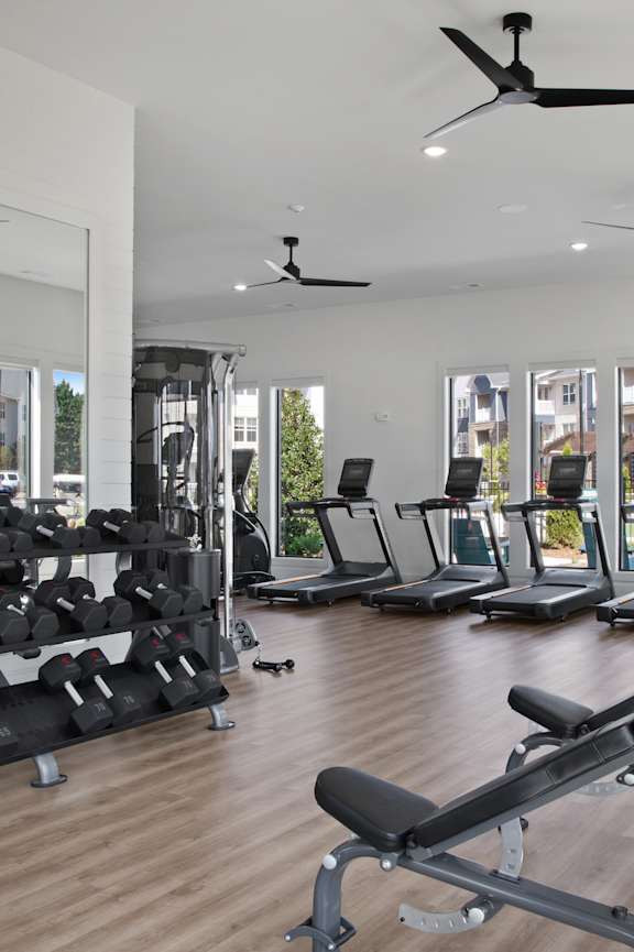 A gym with a variety of equipment including treadmills, weights, and exercise machines.