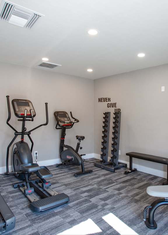 A gym with a treadmill, elliptical trainer, and other exercise equipment.