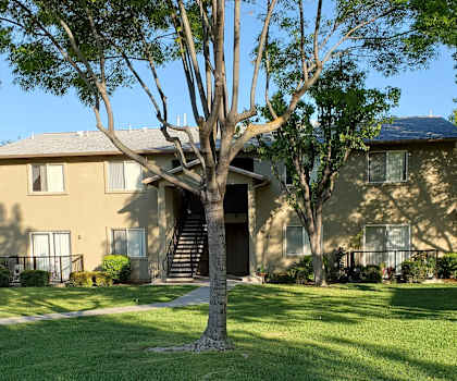 Image of the lawn, some trees, and the outside of the building