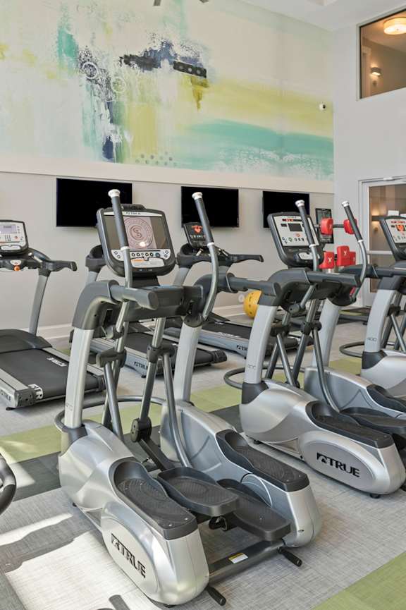 Cardio Machines at Central Island Square, South Carolina, 29492