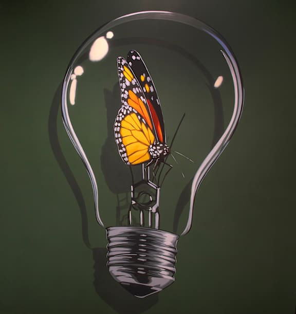 A light bulb with a butterfly inside it.