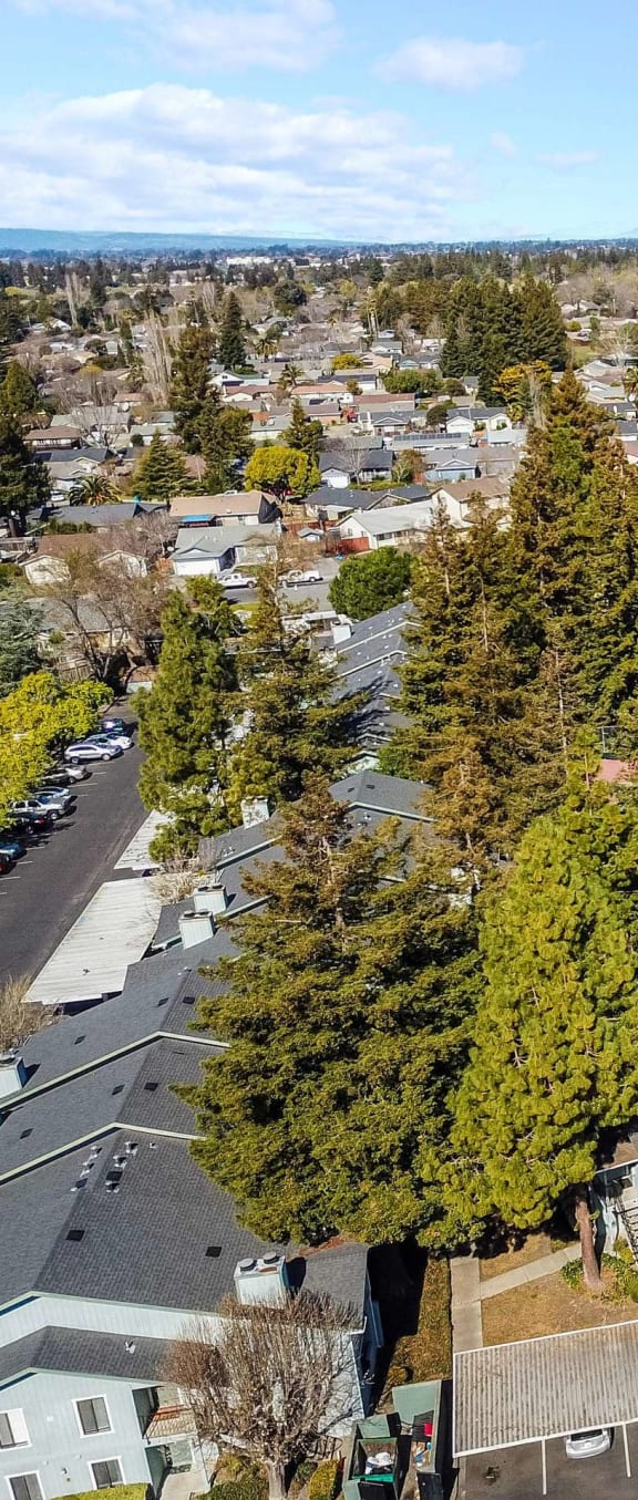 aerial view of apartments and grounds at Vintage Pointe Apartments, California, 94928