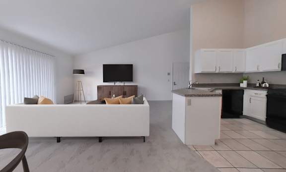 Living room and kitchen