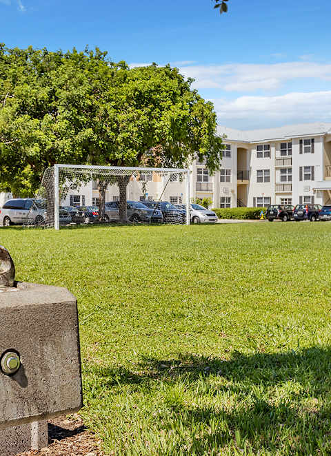 A concrete water fountain with a green tree in the background.