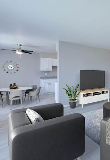 A living room with a grey couch, a black leather couch, a white cabinet, a television, a potted plant, and a dining table with chairs.