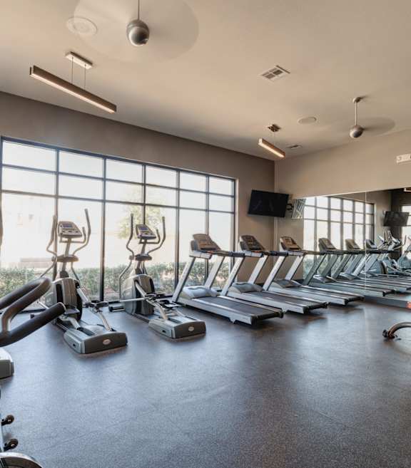 A gym with a row of treadmills and exercise bikes.