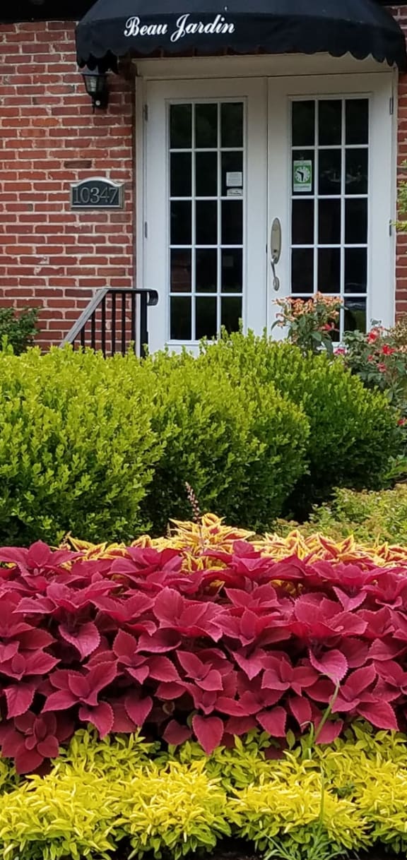 a garden in front of a brick house with a black umbrella on top