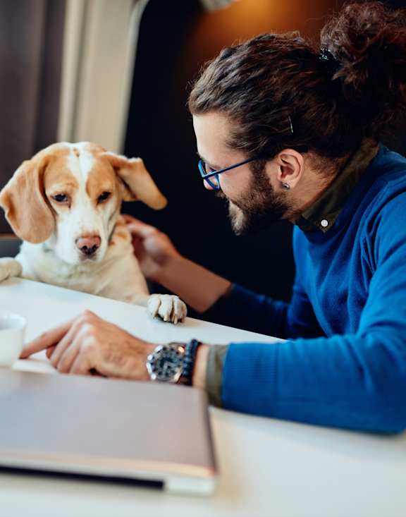 A man in a blue shirt is working on a laptop with a dog sitting next to him.
