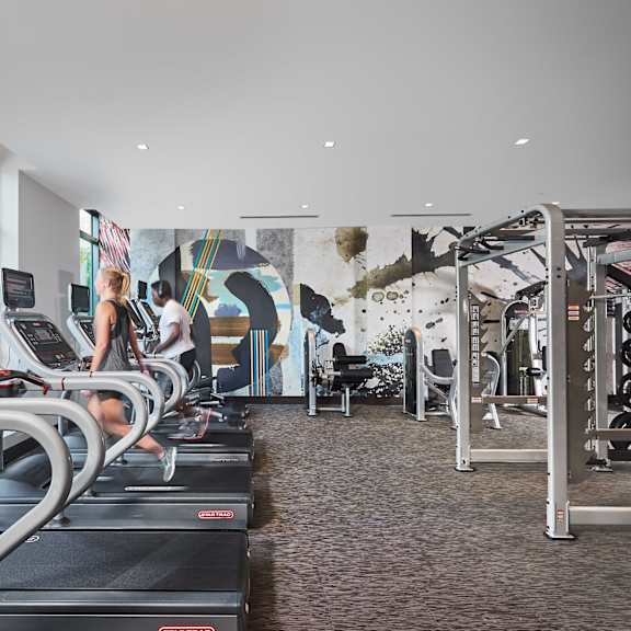 A gym with treadmills and weights.