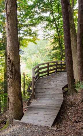 Wooden walkway leads through a forest of tall trees at Cedarwood Estates Apartments, Willoughby, 44094